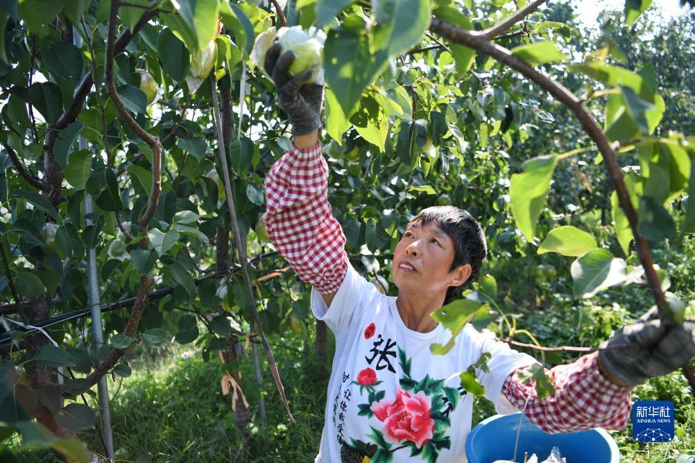 捕鱼交易平台